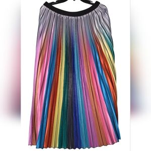 Multicolor Pleated Women's Skirt